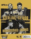UFC-288-Sterling-vs-Cejudo-2.jpg