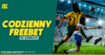 1200x628 BETFAN Codzienny freebet.png