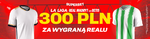 970x250.png