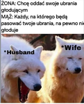 Bez nazwy.png