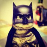 batcat